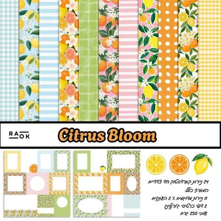מארז קארדסטוק 12*12 אינץ' - CITRUS BLOOM - מכירה מוקדמת